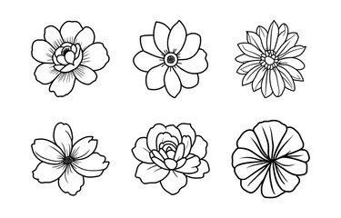 Hand drawn simple flower illustration