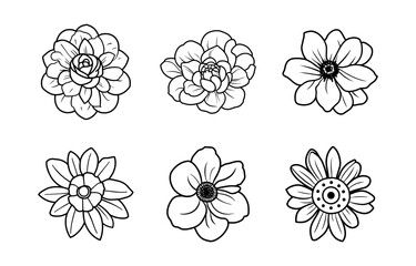 Hand drawn simple flower illustration