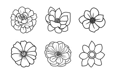 Hand drawn simple flower illustration