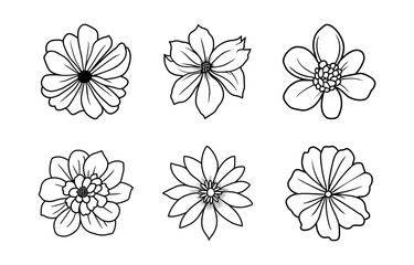 Hand drawn simple flower illustration