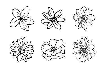 Hand drawn simple flower illustration