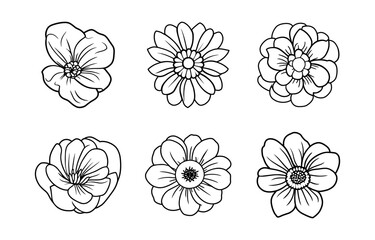Hand drawn simple flower illustration