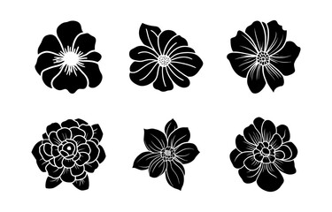 Hand drawn simple flower illustration