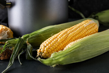 Fresh corn cobs on black background