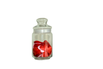 bottle of glass with red rose