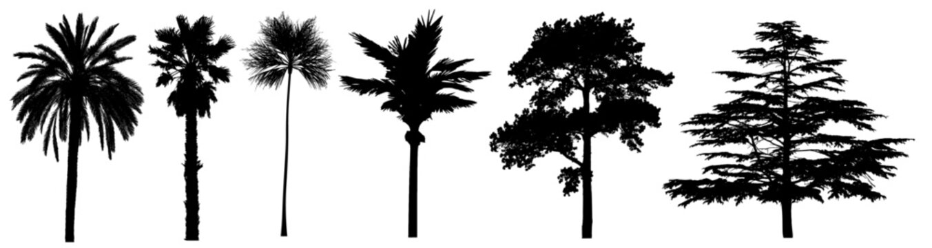 Various Silhouette Trees Models - 2 