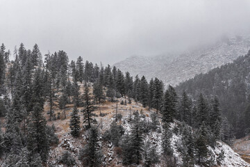 winter in the mountains in Colorado, Denver.