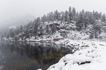 winter forest in the mountains in Colorado, Denver.