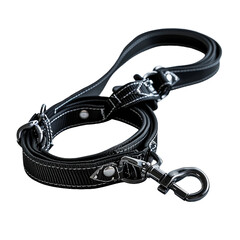 Obraz premium Dog leash, PNG graphic resource