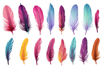 Collection of colorful feathers isolated on white PNG