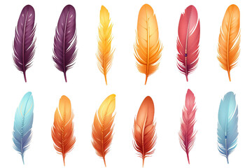 Collection of colorful feathers isolated on white PNG