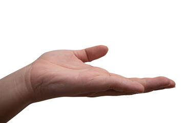 Male hand reach and ready to help or receive. Gesture isolated on white background.