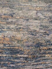 Background nature, texture of wood 