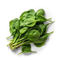 fresh spinach leaves isolate on transparency background png 