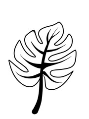 Daun tropis dengan gaya doodle. Elemen desain garis hitam vektor ditarik tangan. Ilustrasi botani musim panas eksotis. © Hasbi