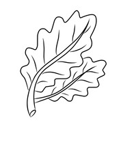 Daun tropis dengan gaya doodle. Elemen desain garis hitam vektor ditarik tangan. Ilustrasi botani musim panas eksotis. © Hasbi