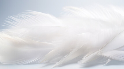Elegant close-up of white feathers, showcasing their delicate and ethereal beauty against a soft background.