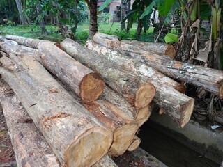 Wood stack