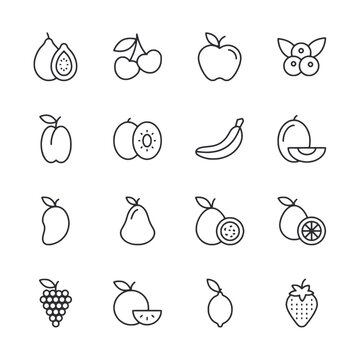 Set of fruit icon for web app simple line design