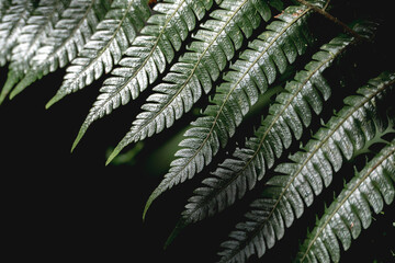 green leaf background texture pattern nature