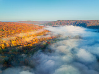 Aerial view of Autumn forest at foggy sunrise