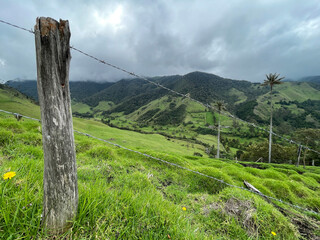 Cocora Valley in Colombia looking out into the majestic mountain valley with a fence line in the foreground