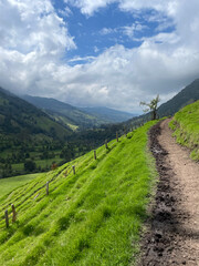Cocora Valley in Colombia looking out into the majestic mountain valley hillside while walking on a horse trail.