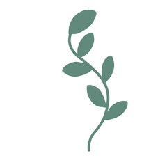 leaf branch illustration isolated png