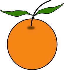 vector photo of a fresh orange 