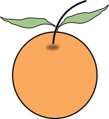 vector photo of a fresh orange 
