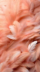 Fototapeta premium Full of feathers, Monochrome peach fuzz background, Smooth and beautiful feathers, portrait