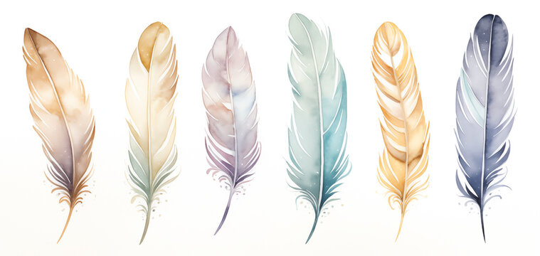 Fototapeta Cute Boho collection, featuring a set of bird feathers on a white background.