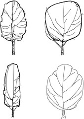 Vector sketch illustration of tree design with many branches without leaves