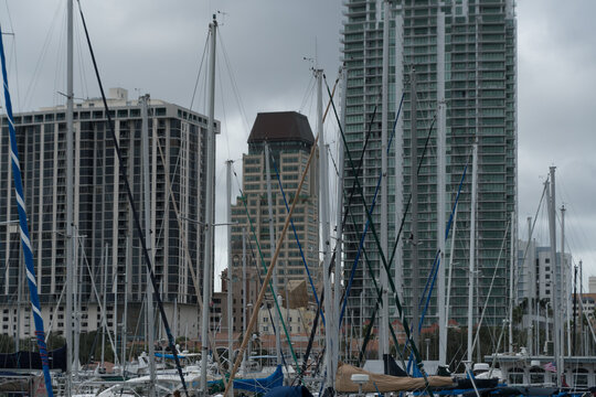 Forest of masts in Central Yacht Basin marina with St Pete cityscape in the background - 3