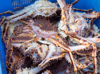 Live Hokkaido or taraba big crabs are available for sale at sea fishermen markets. - 705433293