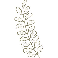 Hand drawing green leaf element for decoration.