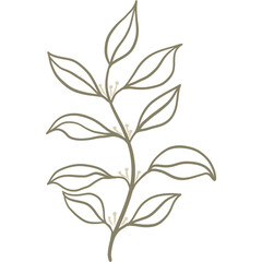 Hand drawing green leaf element for decoration.