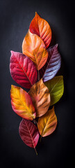 Colorful leaves spread out in large groups on black background Generative AI