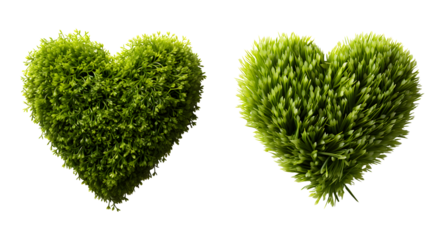 Eco Love Heart Shaped Grass, Symbol of Environmental Affection
