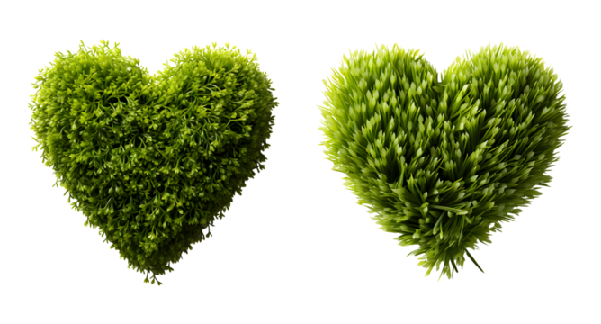 Eco Love Heart Shaped Grass, Symbol of Environmental Affection
