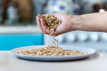 Falling of grain millet from farmers hands against background of the kitchen, close-up