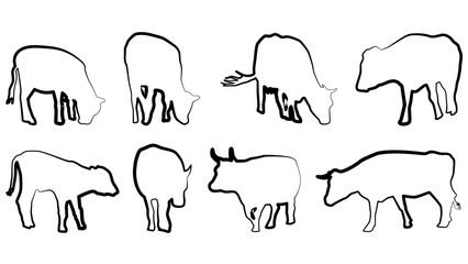 Set of cows outline isolated on white background. The cows eat and walk. Cattle clipart. - obrazy, fototapety, plakaty