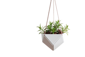 Hexagon-shaped Ceramic Plant Holder on Transparent Background, PNG, Generative Ai