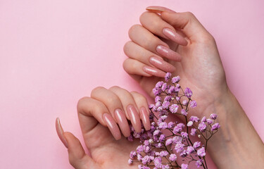 Female hands with pink nail design  hold gypsophila flowers.