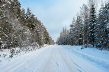 Fototapeta premium Suburban road through winter forest covered with snow.