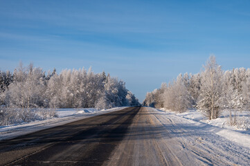 Obraz premium Suburban road through winter forest covered with snow.