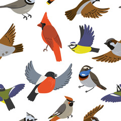 vector drawing birds, hand drawn seamless pattern, natural background, cartoon cover