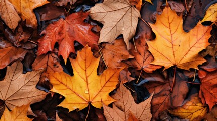 Naklejka na ściany i meble Fallen autumn leaves. Generative AI