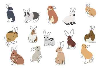 Different Cute Rabbits Icons Vector Illustration - obrazy, fototapety, plakaty