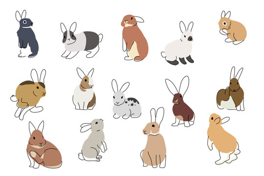 Different Cute Rabbits Icons Vector Illustration